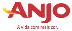 Anjo Qumica